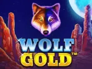 wolf gold